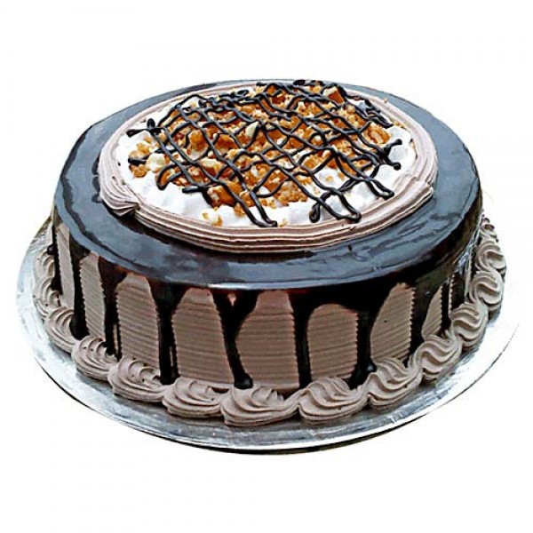 Chocolate Nova Cake 1kg